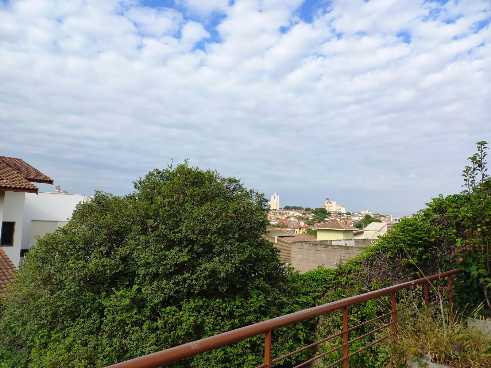 oasis panoramica a.jpeg